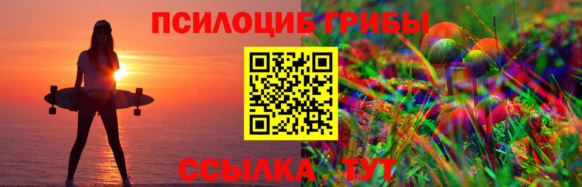 Спасск-Дальний  Псилоцибиновые грибы MAGIC MUSHROOMS  Вход с VPN 